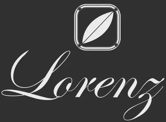 Lorenz Financial Consultancy logo